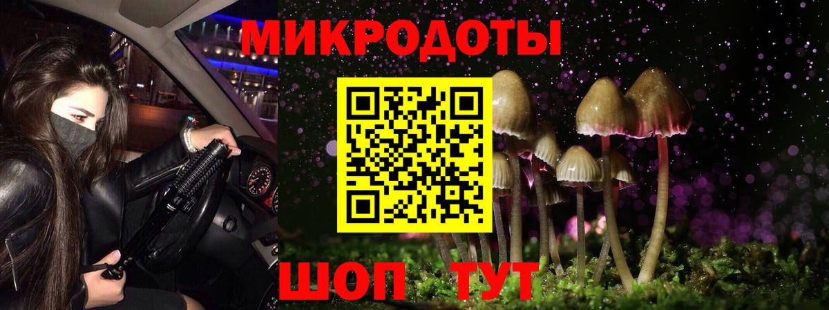 Галлюциногенные грибы Cubensis  Галлюциногенные грибы Cubensis  Сокол  Вход с VPN 