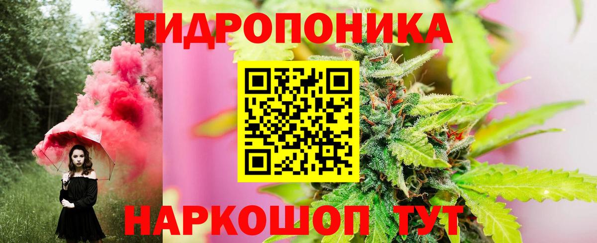 Бошки марихуана Bruce Banner  Каннабис SATIVA & INDICA  Сокол  Вход с VPN 